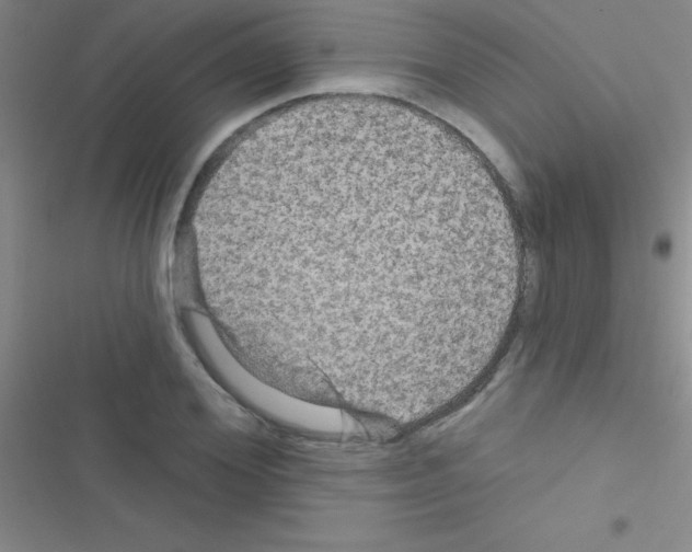 X0000116590980201001211322