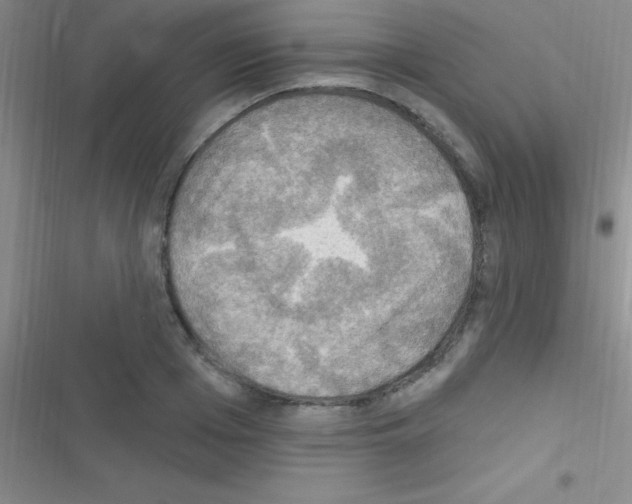 X0000116590985201001211322