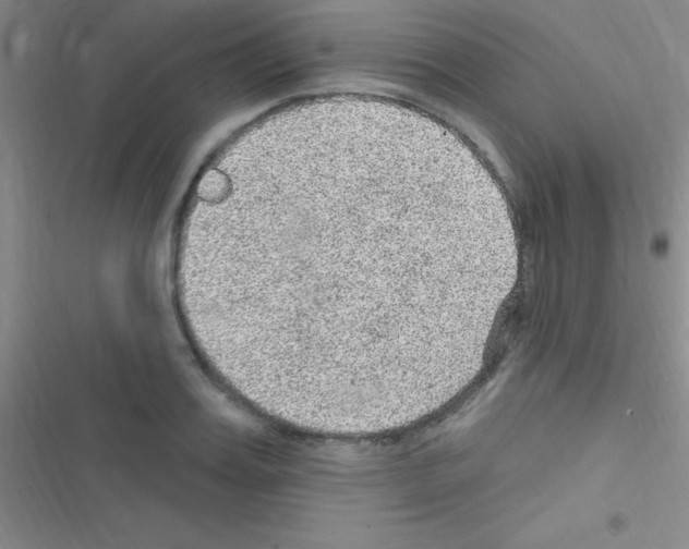 X0000116590987201001211322