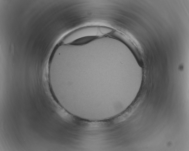 X0000116590988201001211322