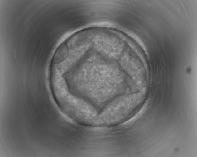 X0000116590989201001211322