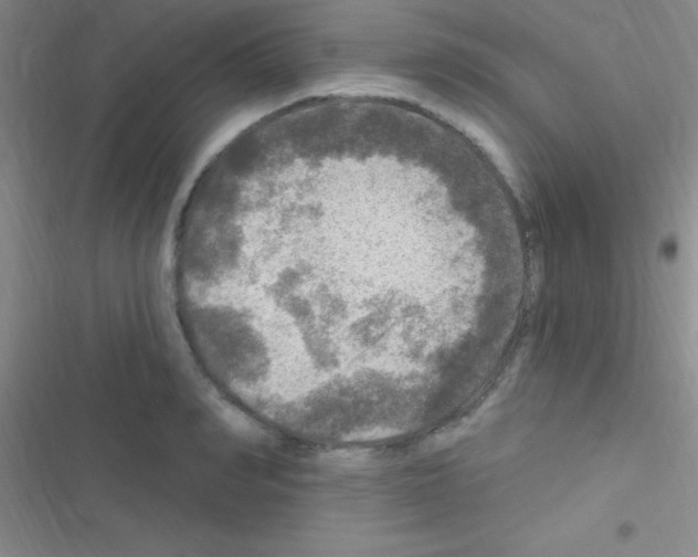 X0000116590990201001211322