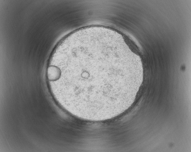 X0000116590991201001211322