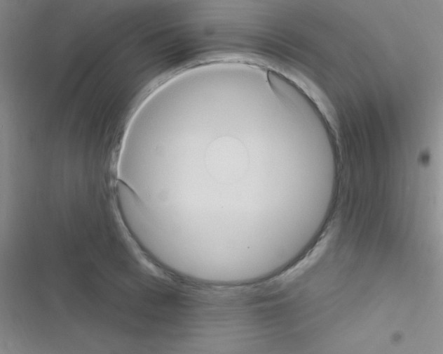 X0000116590993201001211322