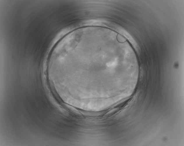 X0000116590994201001211322