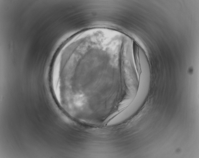 X0000116590995201001211322