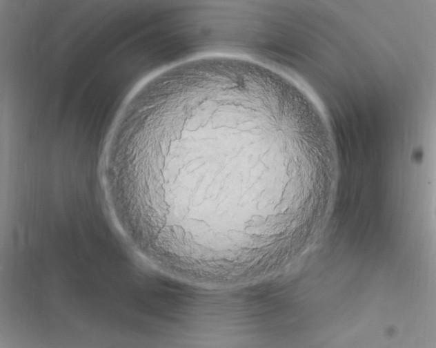 X0000116590996201001211322