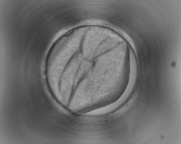 X0000116590997201001211322