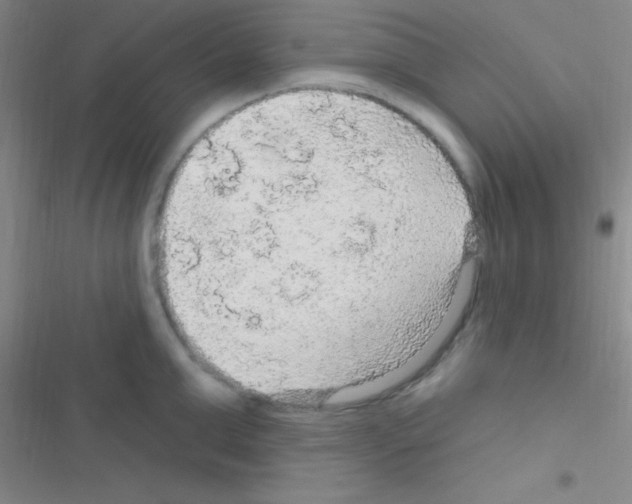 X0000116590999201001211322