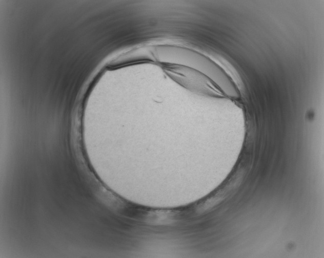 X0000116591000201001211322