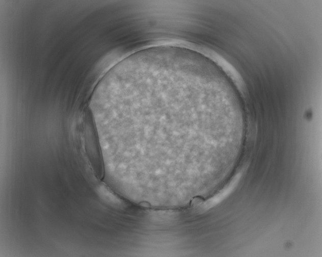 X0000116591001201001211322