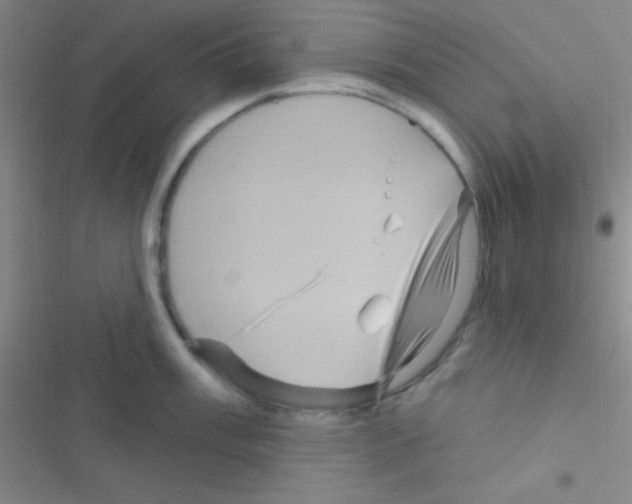 X0000116591003201001211322