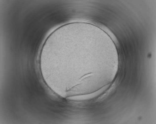 X0000116591004201001211322