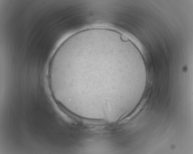 X0000116591006201001211322