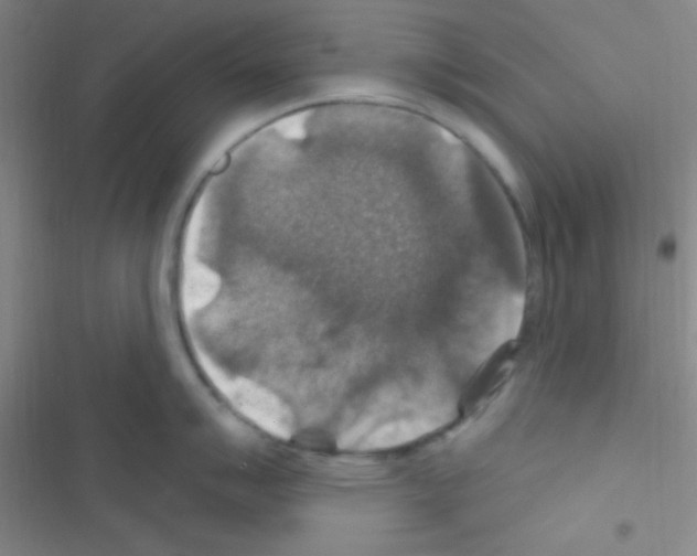 X0000116591007201001211322