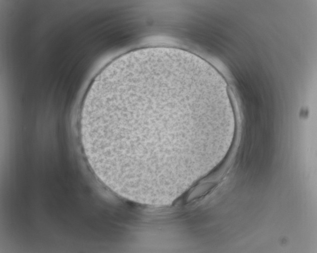 X0000116591008201001211322