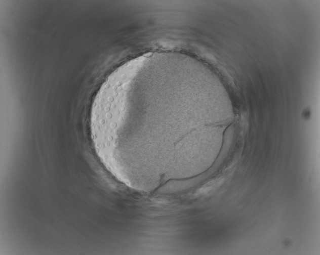 X0000116591009201001211321