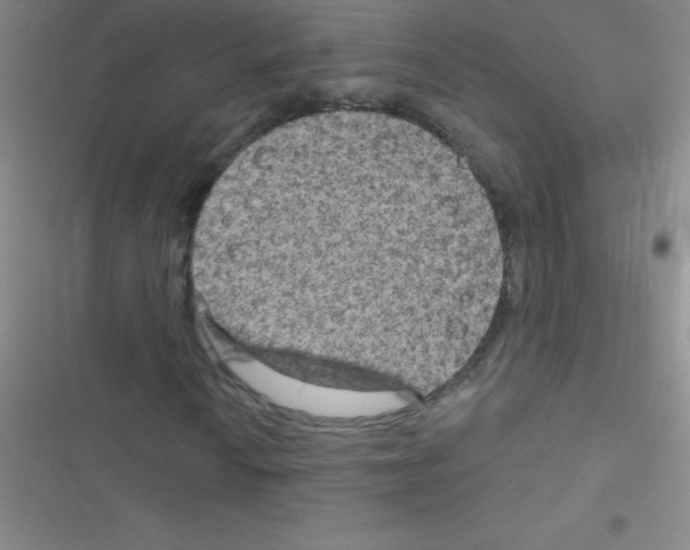 X0000116591010201001211321