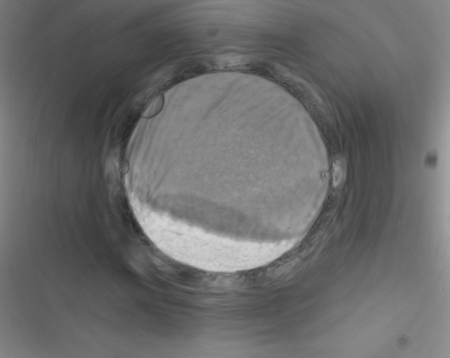 X0000116591011201001211321