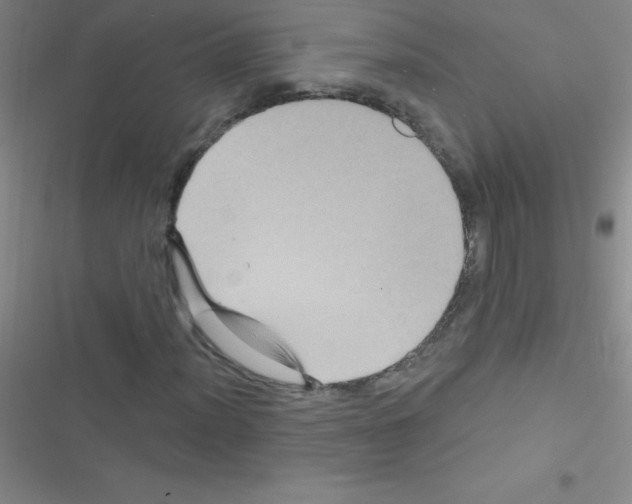 X0000116591012201001211321