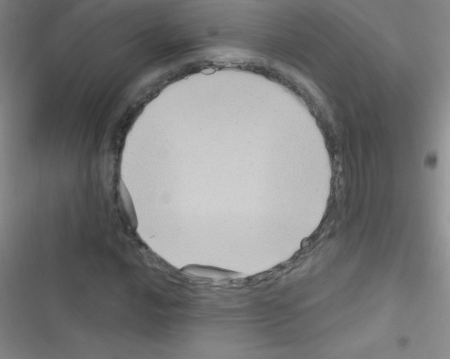 X0000116591016201001211321