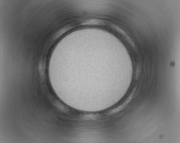 X0000116591017201001211321