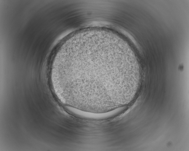 X0000116591018201001211321