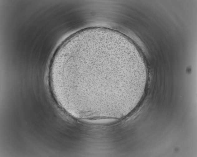 X0000116591020201001211321