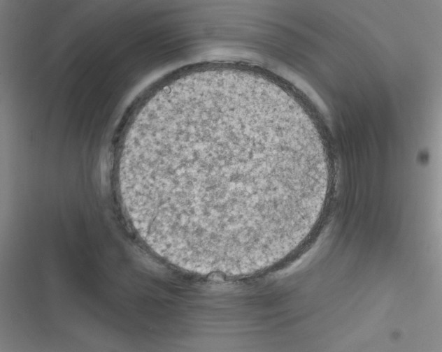 X0000116591021201001211321