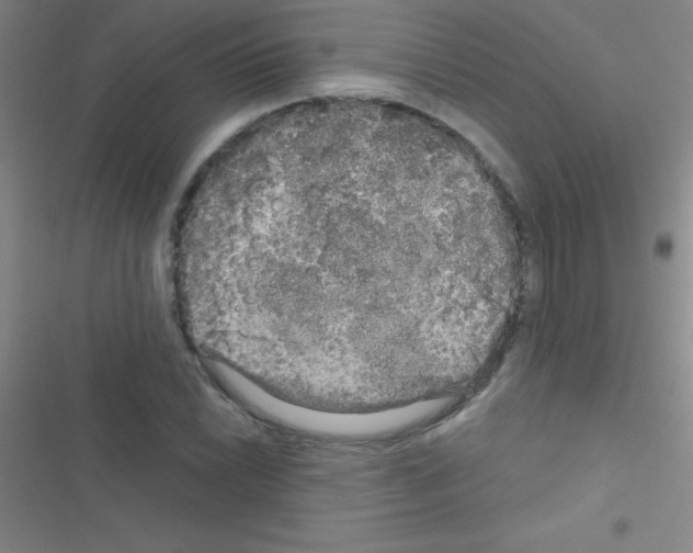 X0000116591022201001211321