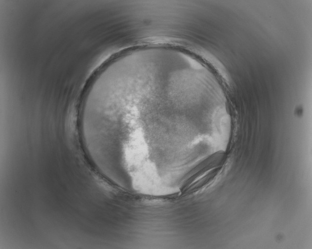 X0000116591023201001211321