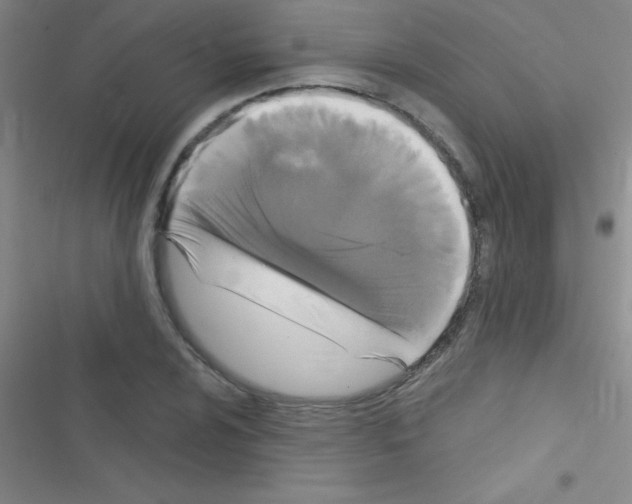 X0000116591024201001211321