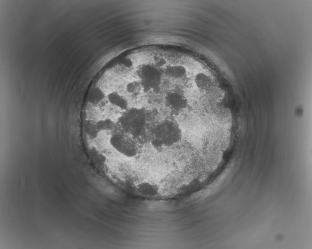 X0000116591025201001211321