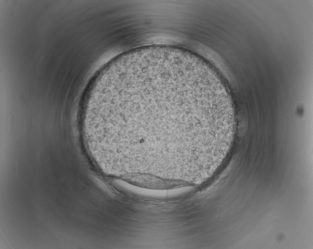 X0000116591026201001211321