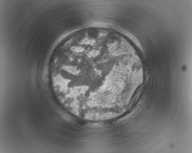 X0000116591027201001211322