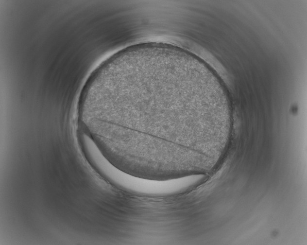 X0000116591028201001211322