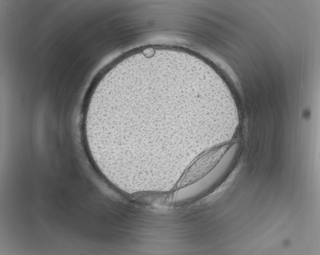 X0000116591029201001211322