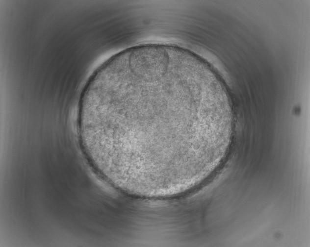 X0000116591030201001211322