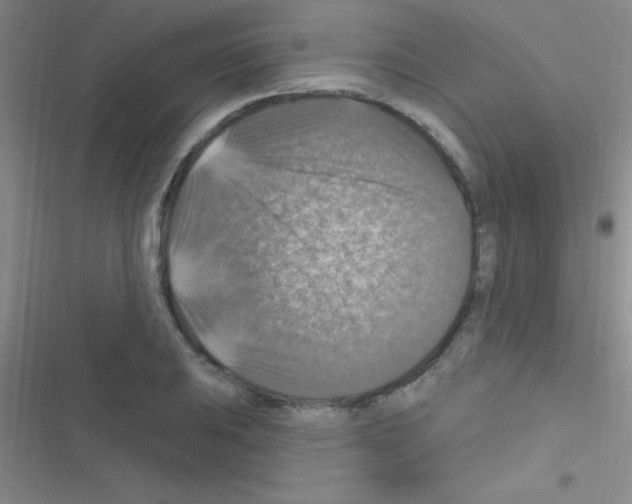 X0000116591031201001211322