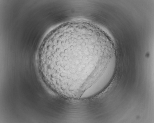 X0000116591032201001211322