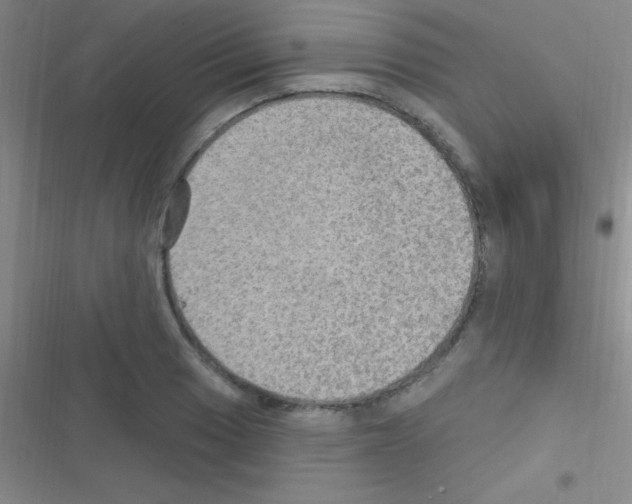 X0000116591033201001211322