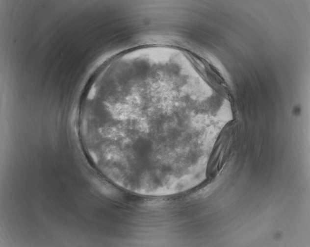 X0000116591035201001211322