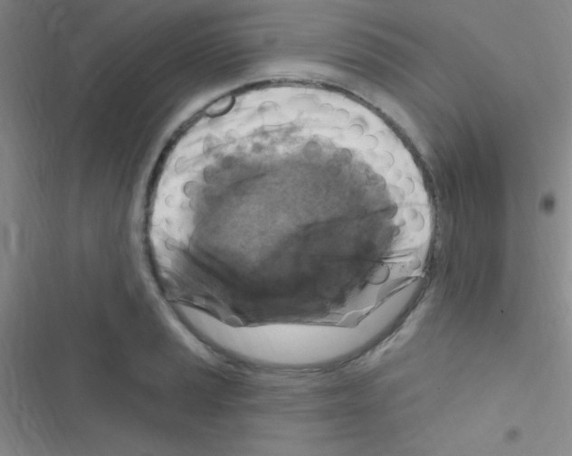 X0000116591037201001211322