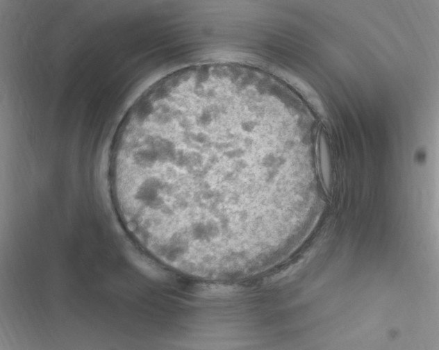 X0000116591039201001211322