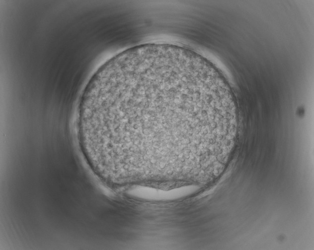 X0000116591040201001211322