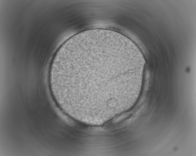 X0000116591042201001211322