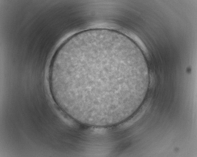 X0000116591043201001211322