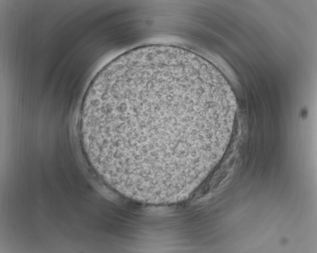 X0000116591044201001211322