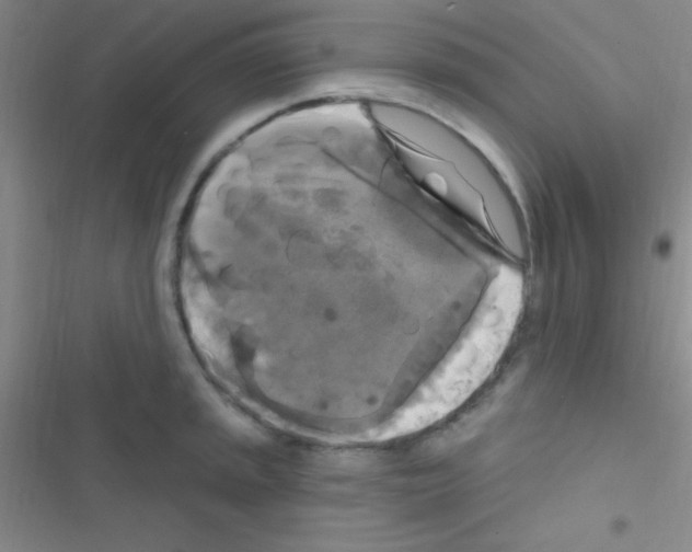 X0000116591045201001211322