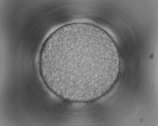 X0000116591046201001211322